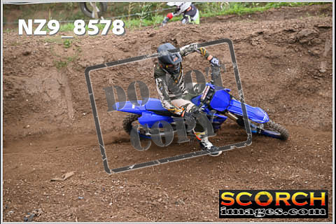 Experts-121