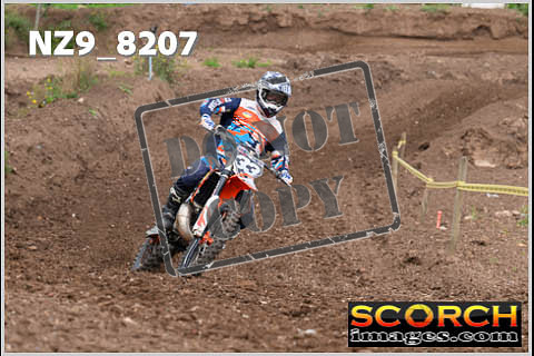 Experts-008