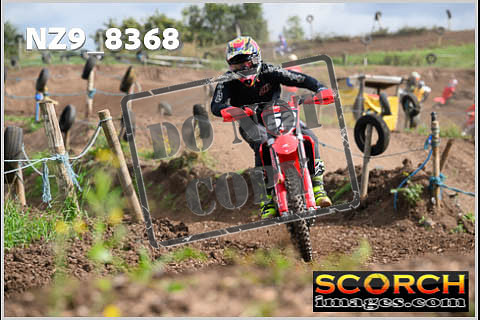 Intermediates-087