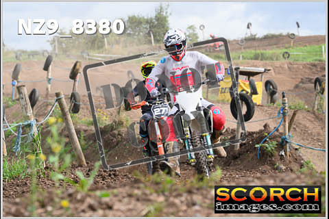 Intermediates-099