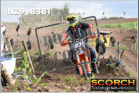 Intermediates-100