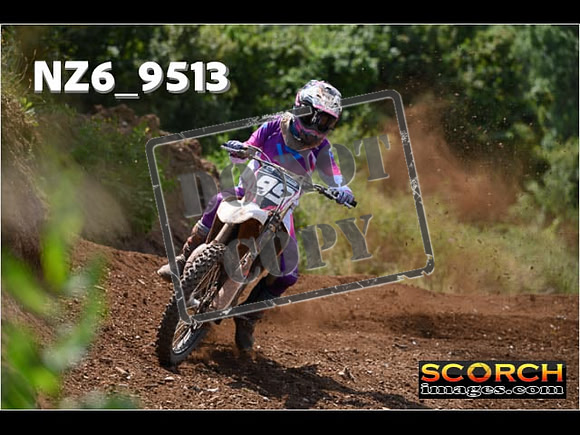 Experts-276