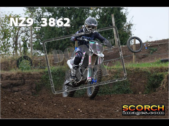Experts-131
