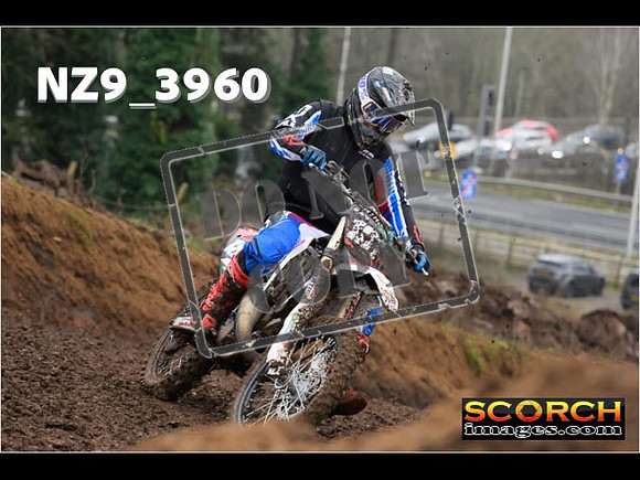 Experts-151