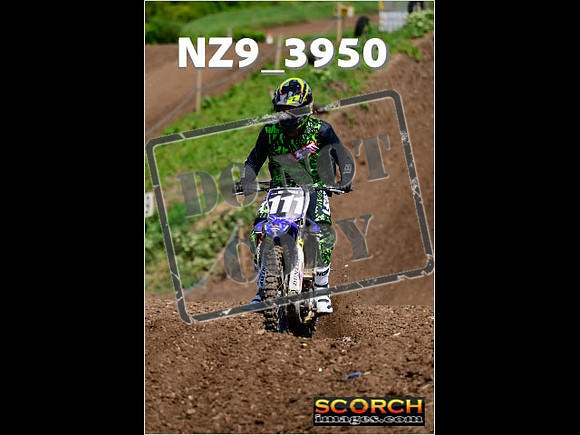 InterGreen-232