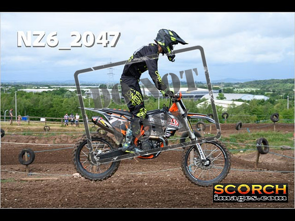 IntersGreen-076