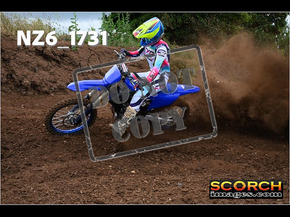 Experts-047