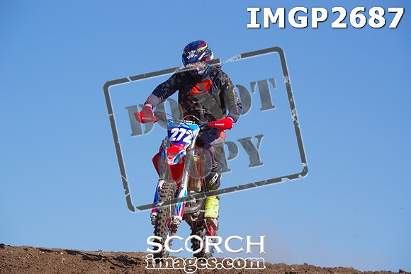 IMGP2687