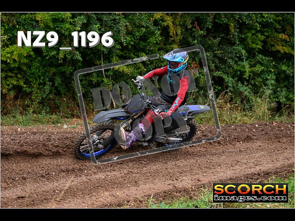 Experts-075