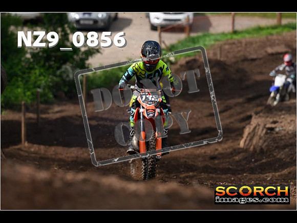IntersGreen-386