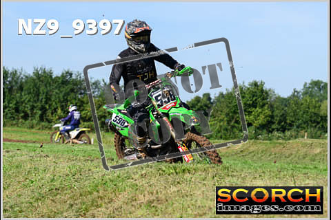 Experts-029