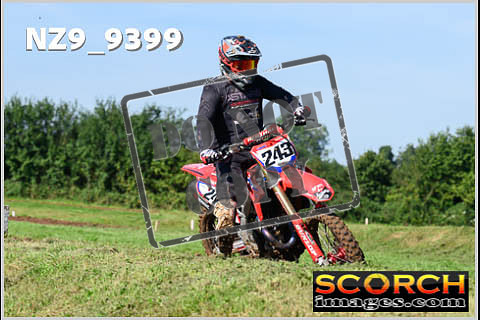 Experts-031