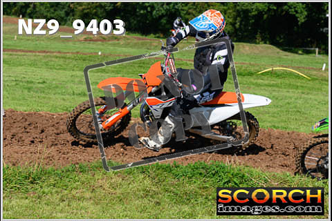 Experts-035