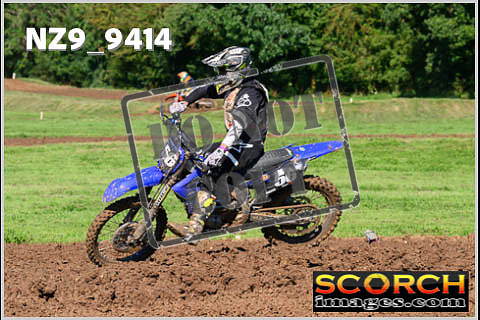 Experts-045