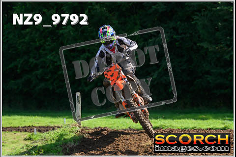 Experts-102