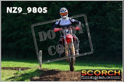 Experts-113