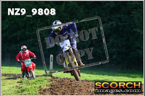 Experts-116