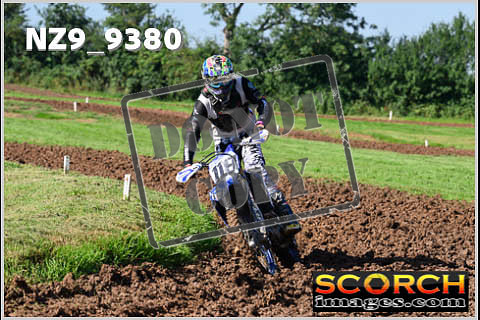 Experts-012