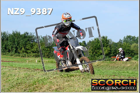 Experts-019
