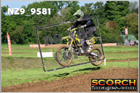 Novice-100
