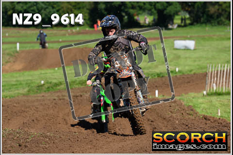 Novice-133