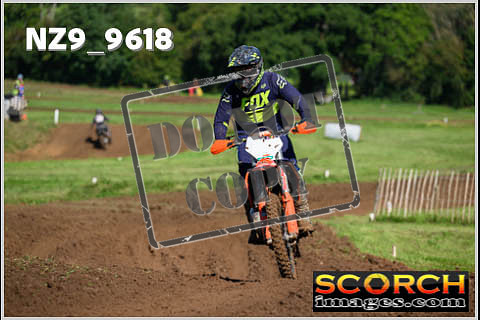 Novice-137