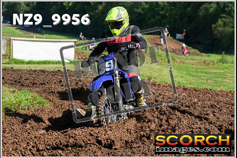 Novice-140