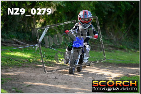 PeeWee-04