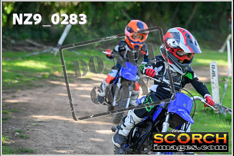 PeeWee-08