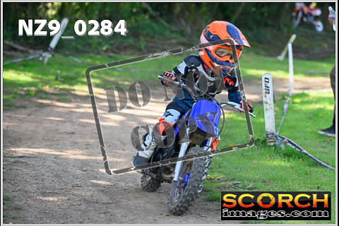 PeeWee-09