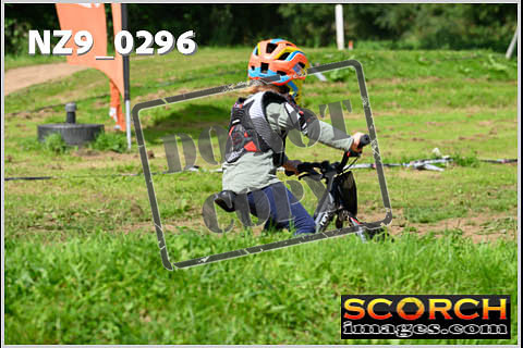 PeeWee-20
