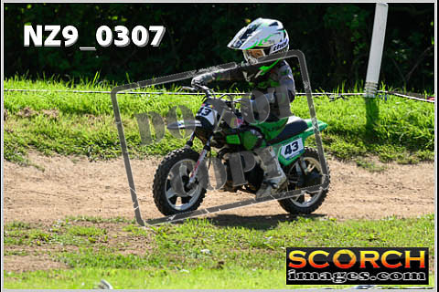PeeWee-31