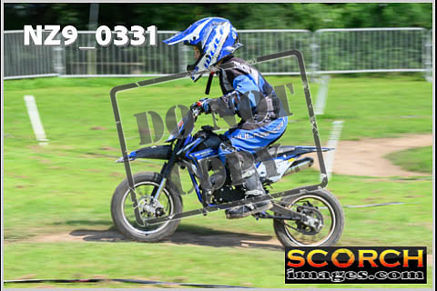 PeeWee-55