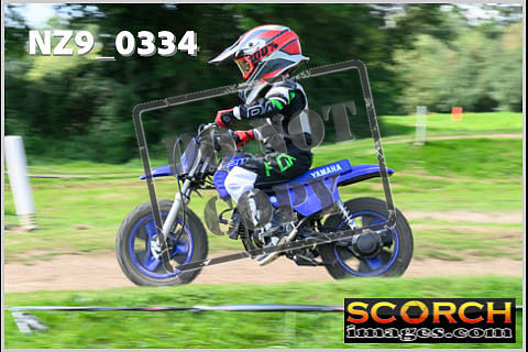 PeeWee-57