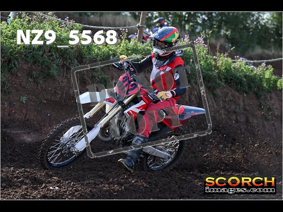 Experts-095