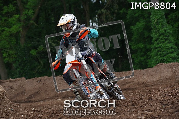 IMGP8804