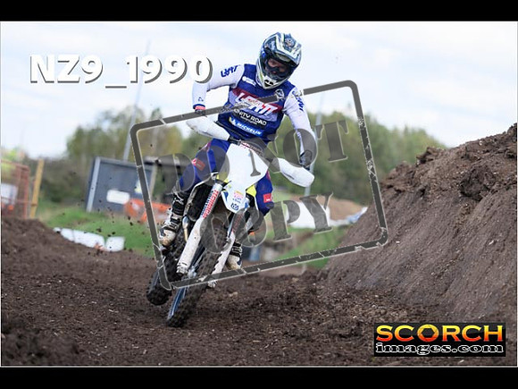 Experts-333