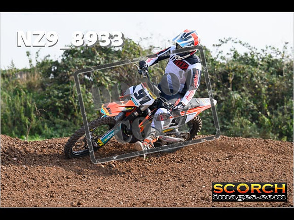 Experts-132