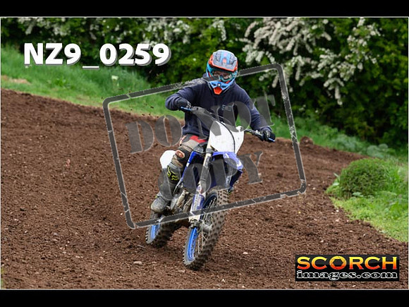 IntersGreen-209