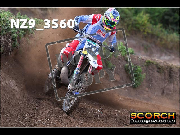 Experts-117