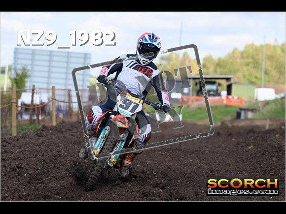 Experts-325