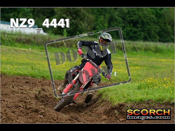 Experts-160