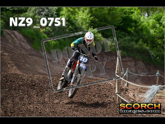 IntersGreen-283