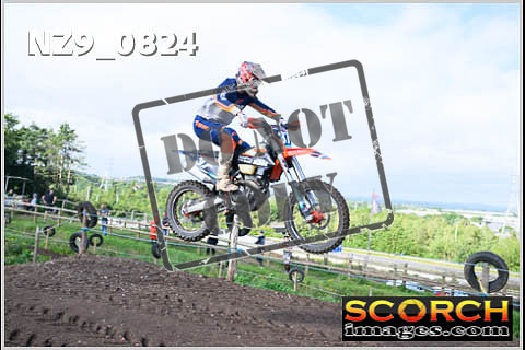 Experts-024