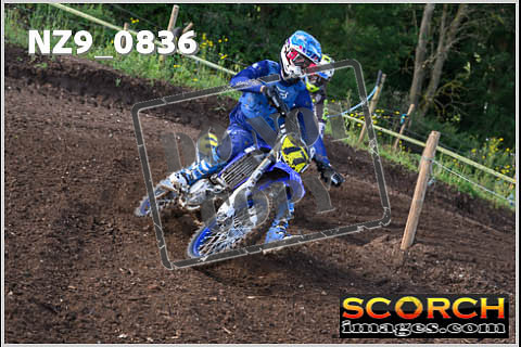 Experts-035