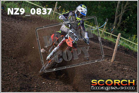 Experts-036