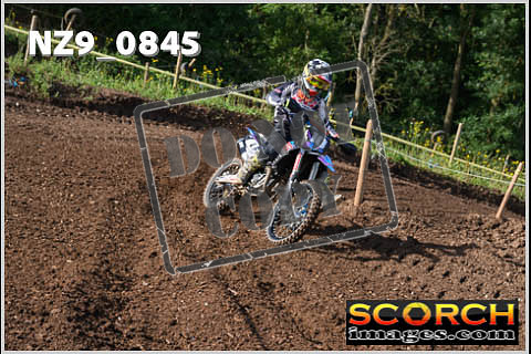 Experts-043