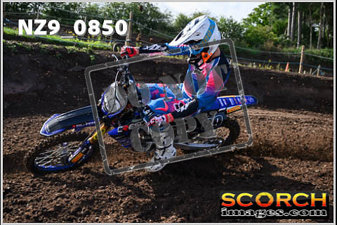 Experts-048