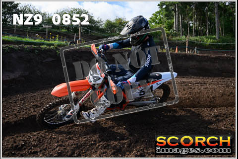 Experts-050