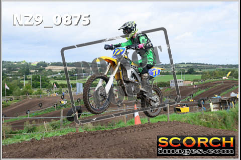 Experts-073